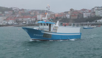 Embarcación Fibramar Barco Pesca 14,95 artes menores